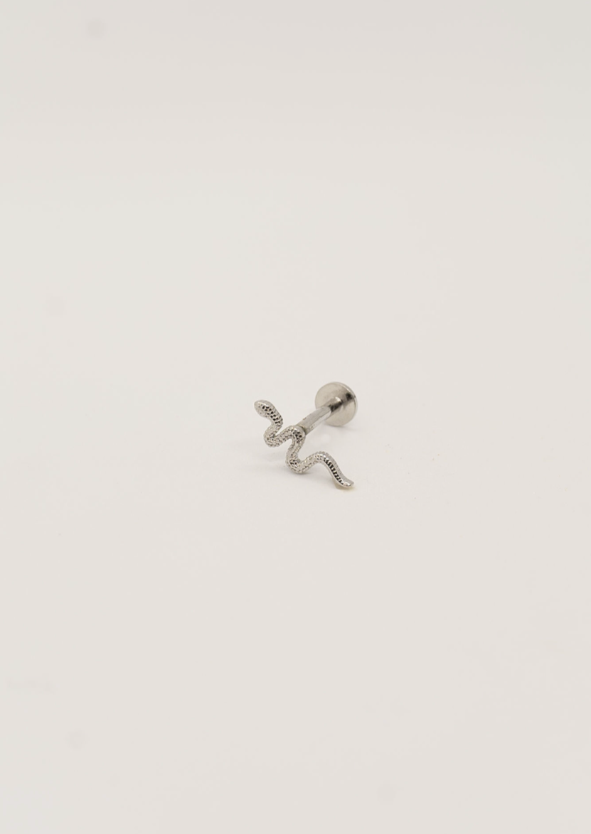 Hebi Tragus