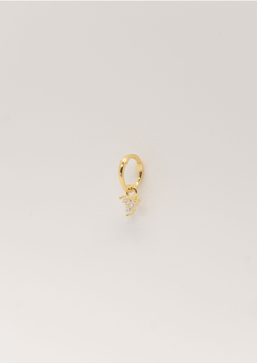 Aragusku Tragus