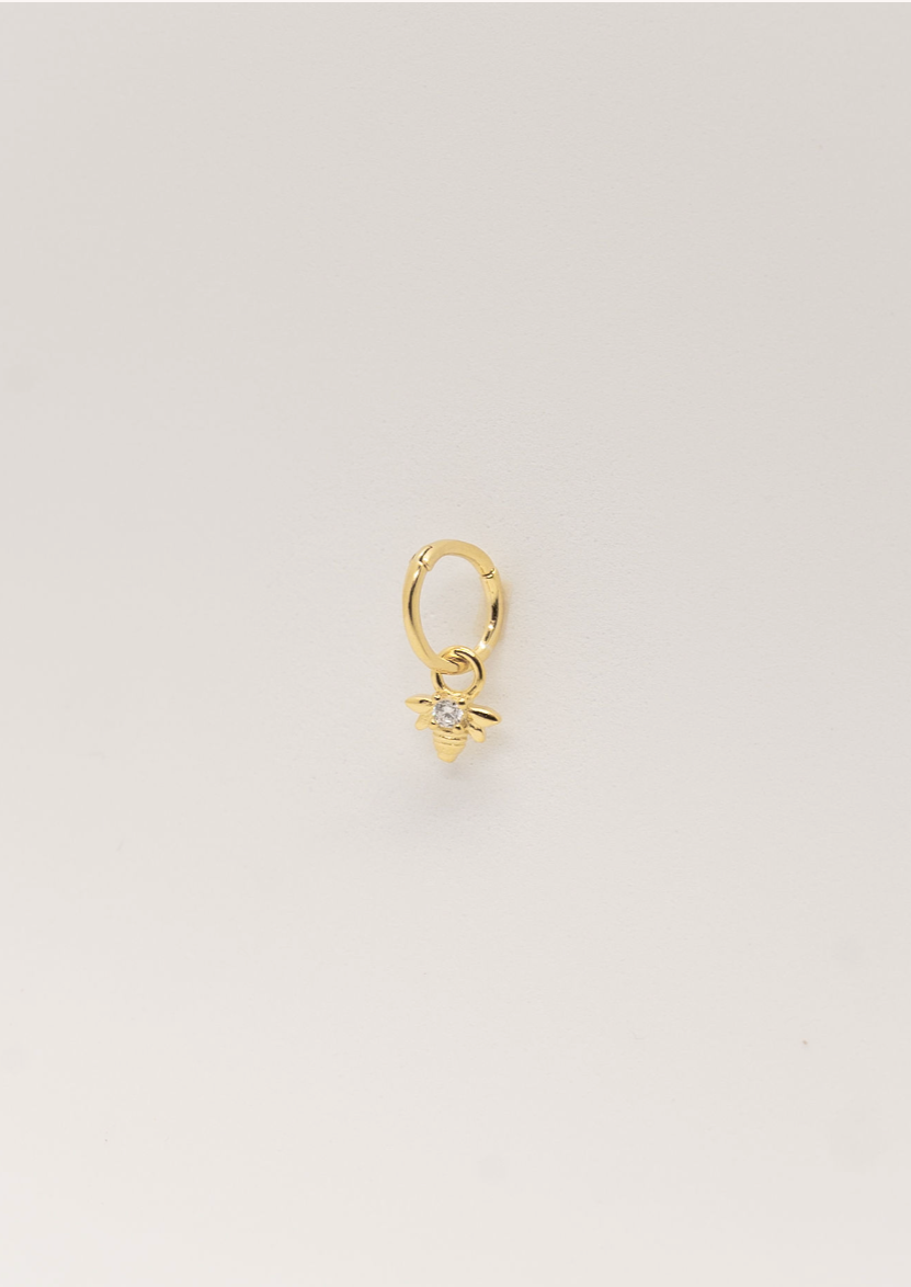 Ishigaki Tragus