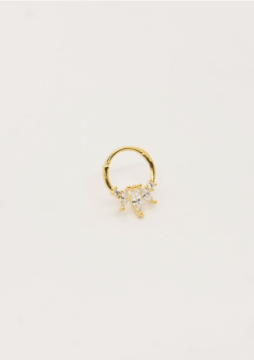 Aguni Septum